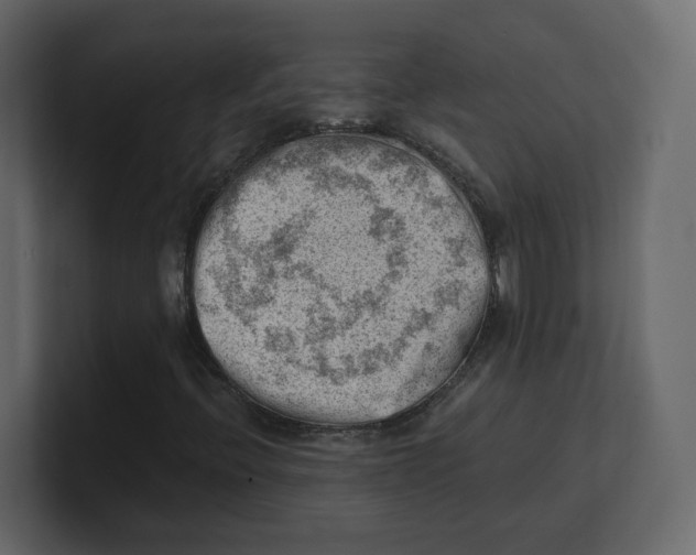 X0000100931396200807151234