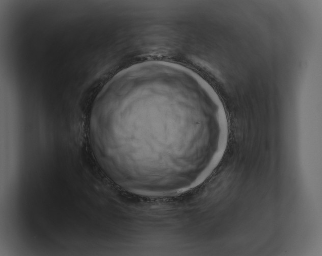 X0000100931399200807151234