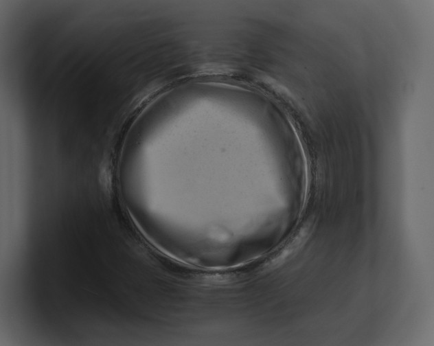 X0000100931401200807151234