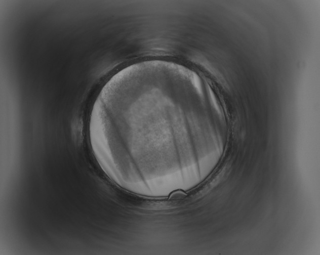 X0000100931402200807151234