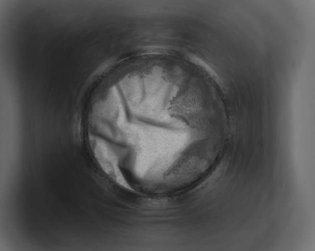 X0000100931403200807151234