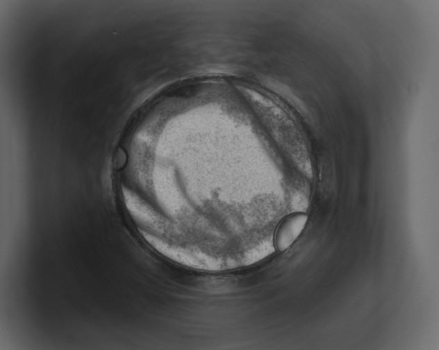 X0000100931404200807151234