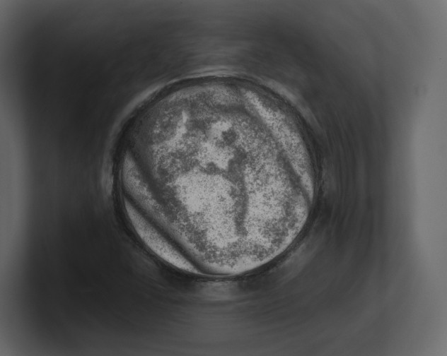 X0000100931406200807151234