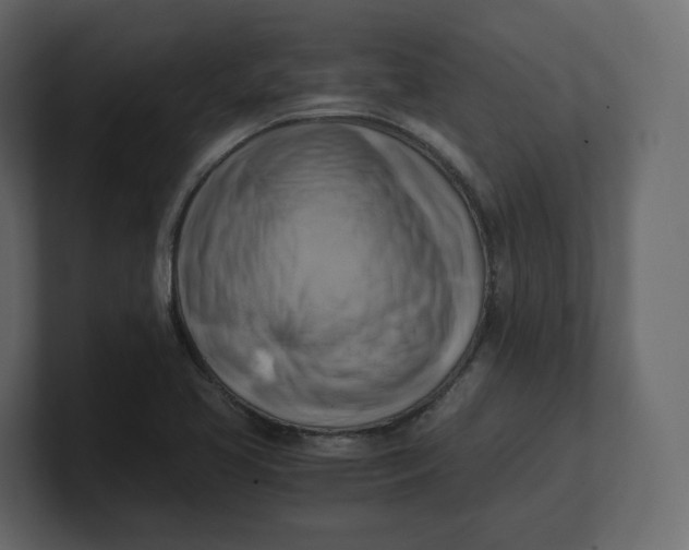 X0000100931413200807151234