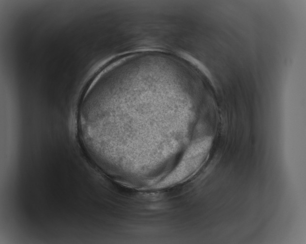 X0000100931415200807151234