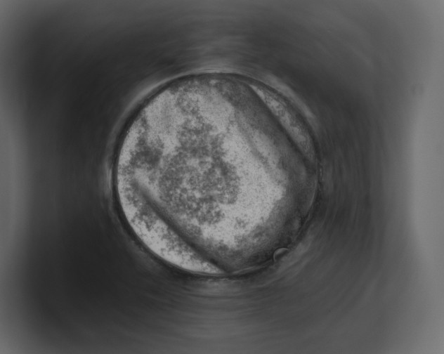 X0000100931416200807151234