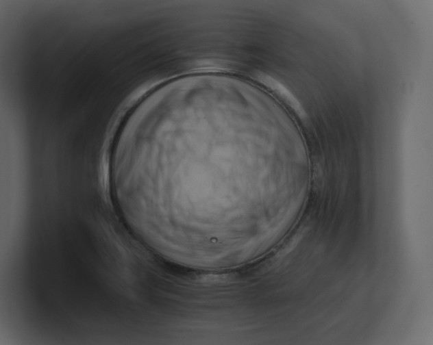 X0000100931419200807151234