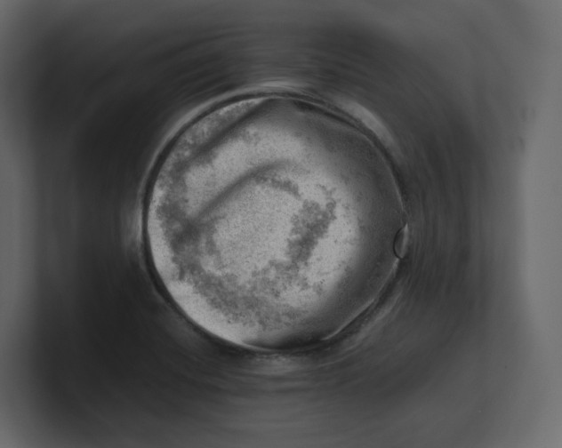 X0000100931420200807151234