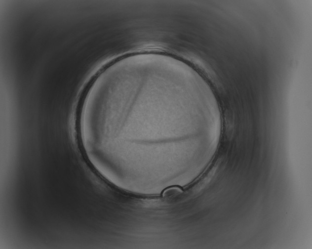 X0000100931422200807151234