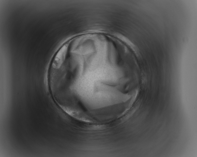 X0000100931423200807151234