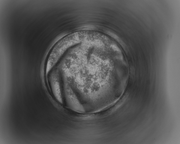 X0000100931426200807151234