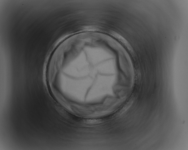 X0000100931427200807151234