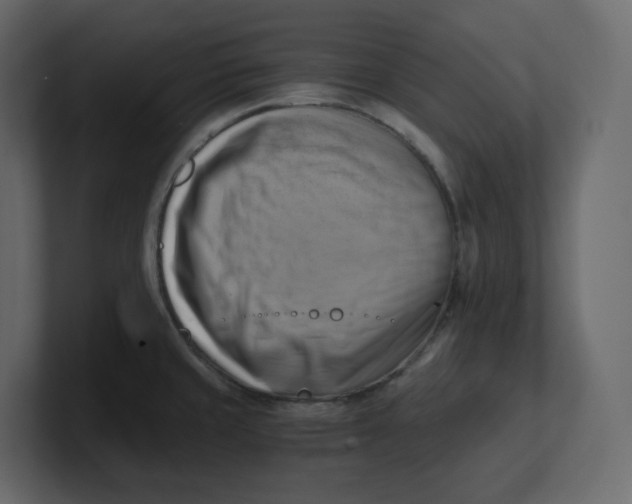 X0000100931429200807151234