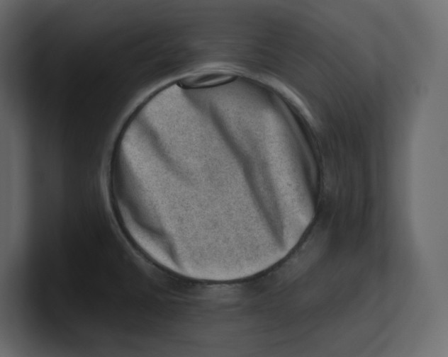 X0000100931430200807151234