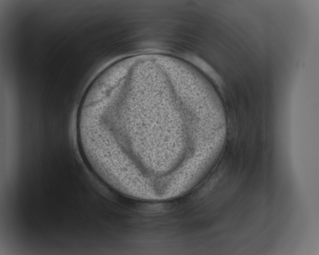 X0000100931431200807151234