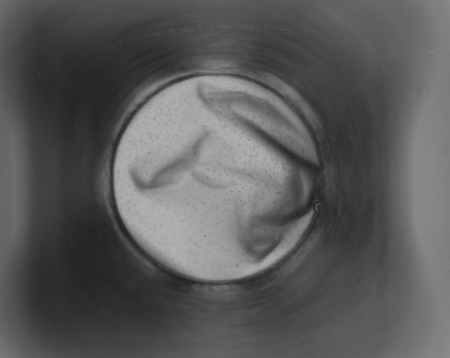 X0000100931432200807151234