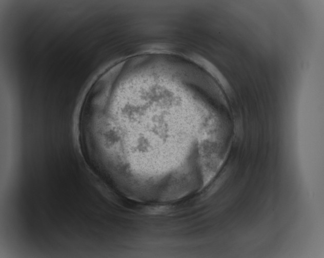 X0000100931435200807151234