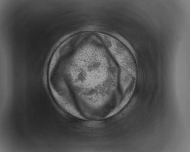 X0000100931437200807151234