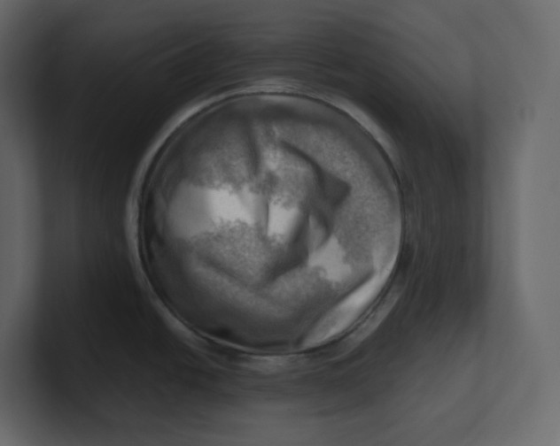 X0000100931438200807151234