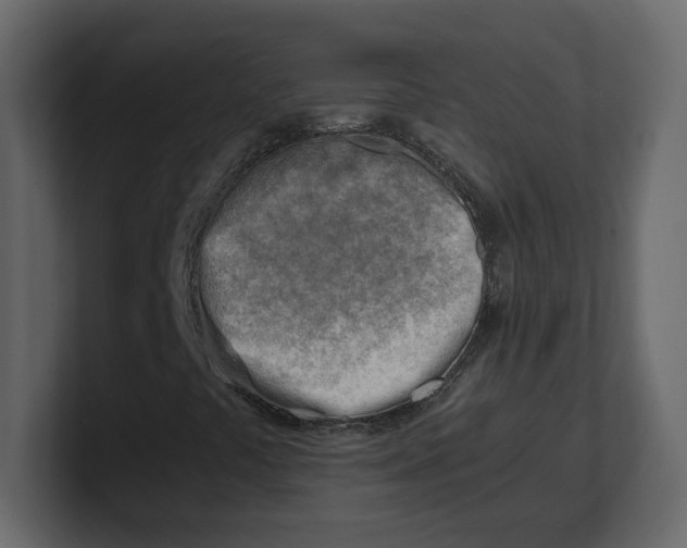 X0000100931441200807151234