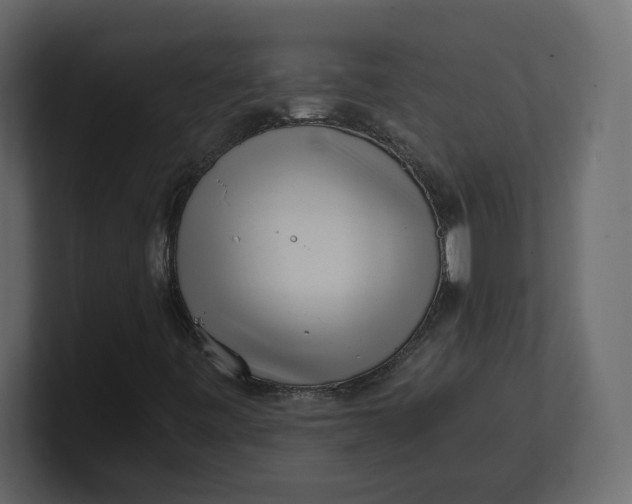 X0000100931443200807151234