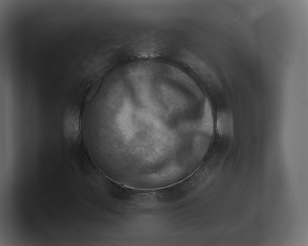 X0000100931444200807151234