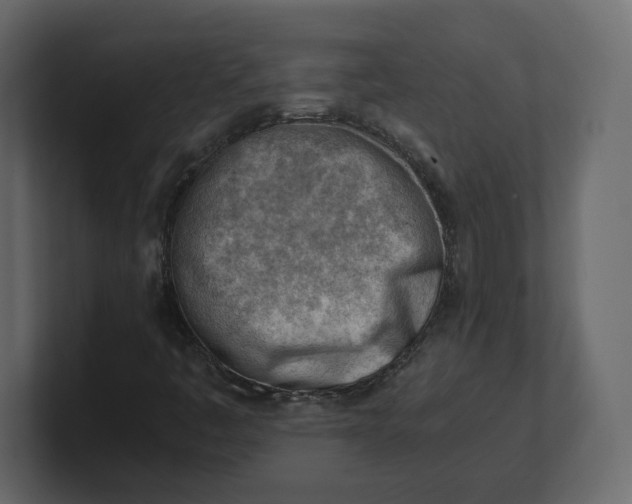 X0000100931445200807151234