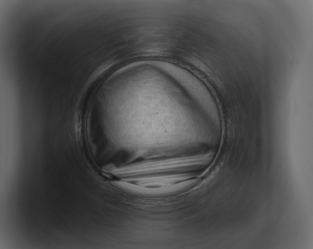 X0000100931450200807151233