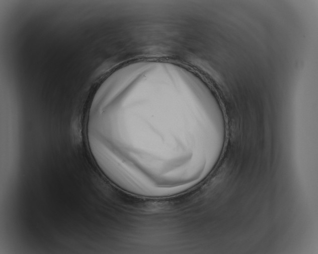 X0000100931451200807151233