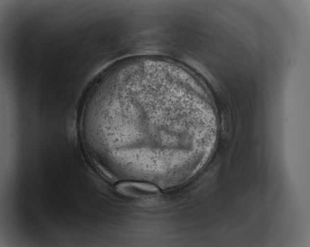 X0000100931452200807151233