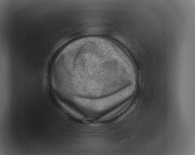 X0000100931453200807151233