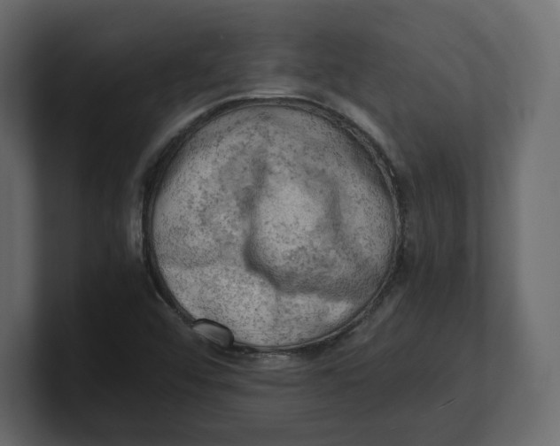 X0000100931456200807151233