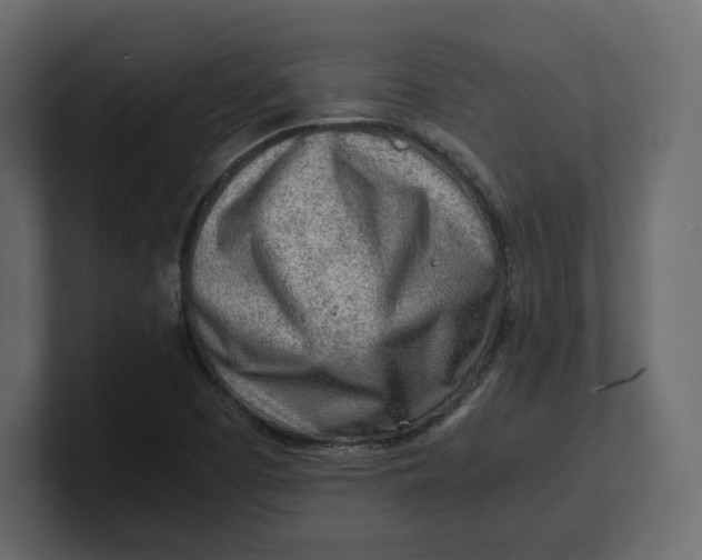 X0000100931457200807151233