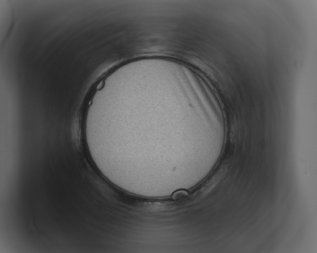 X0000100931458200807151233