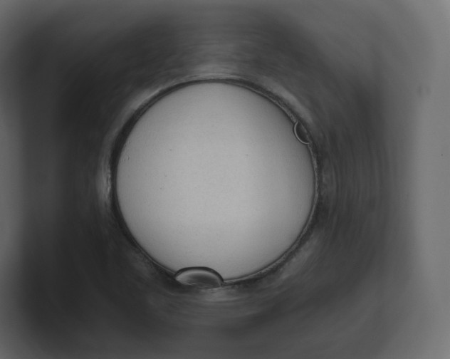 X0000100931461200807151233