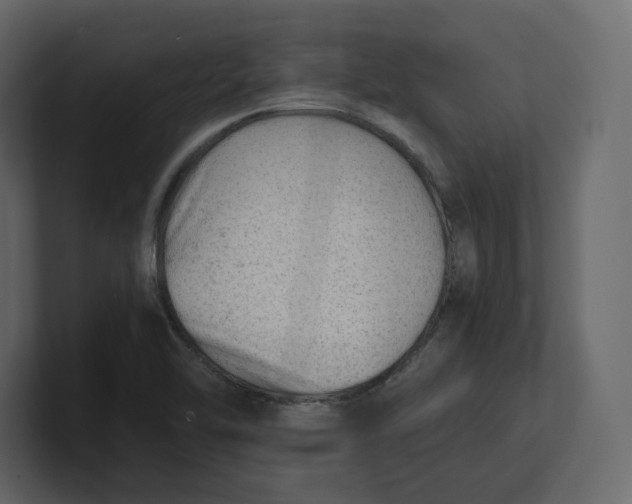 X0000100931462200807151233