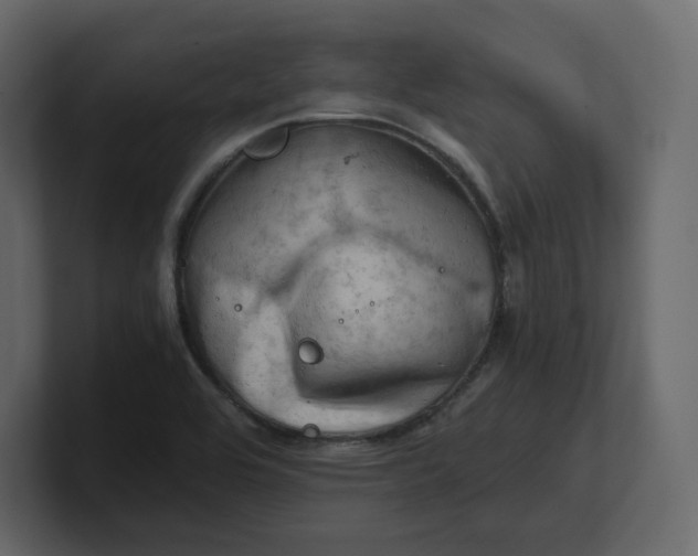 X0000100931464200807151233