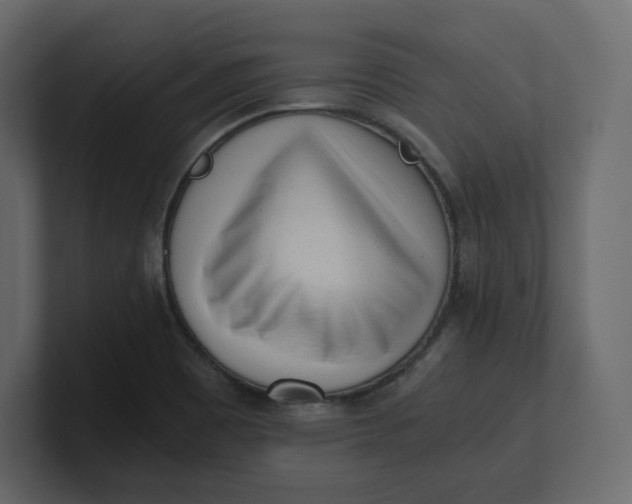 X0000100931465200807151233