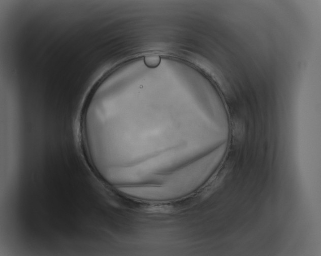 X0000100931466200807151233