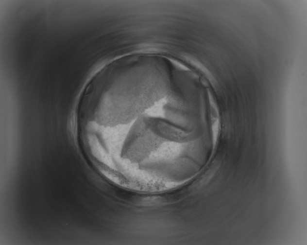 X0000100931467200807151233