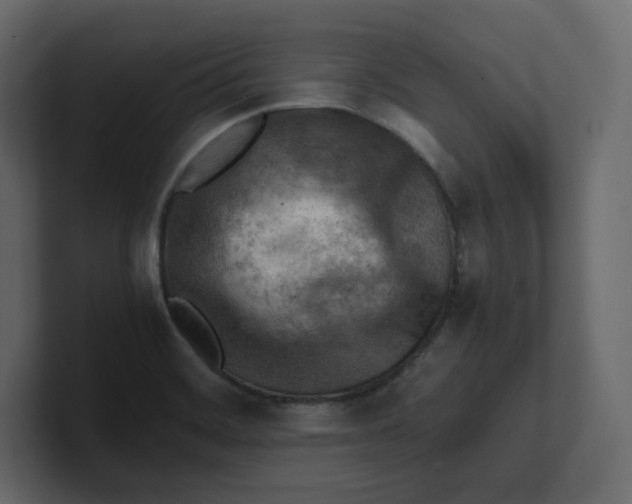 X0000100931468200807151233