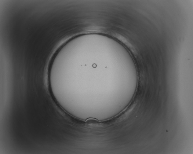 X0000100931469200807151233