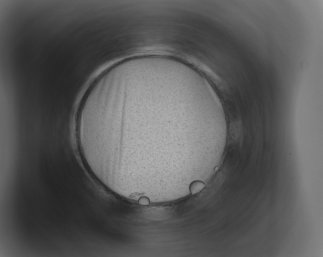 X0000100931470200807151233