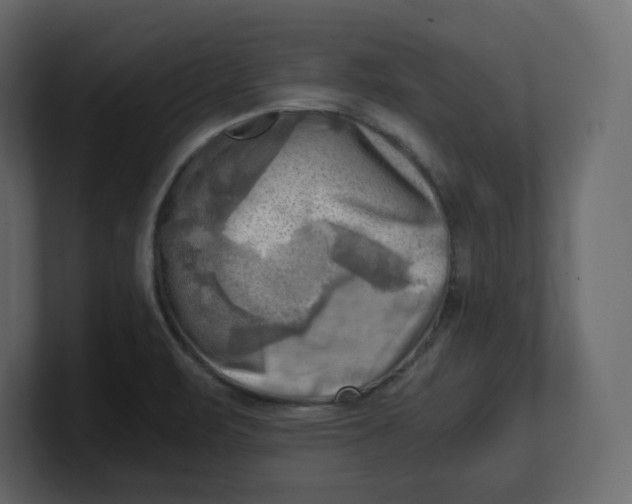 X0000100931471200807151233