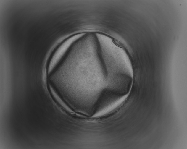 X0000100931472200807151233