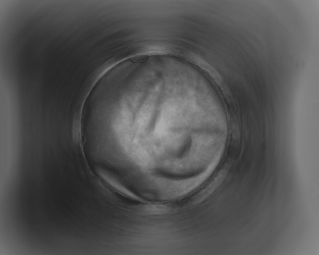 X0000100931473200807151233