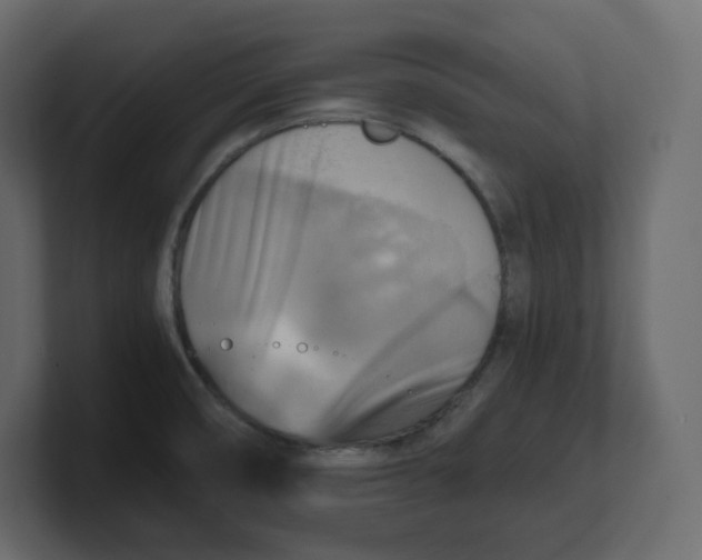 X0000100931474200807151233