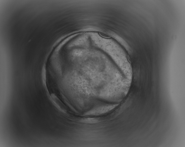 X0000100931476200807151233