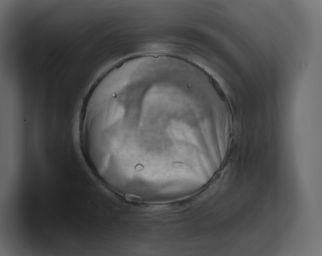 X0000100931477200807151233