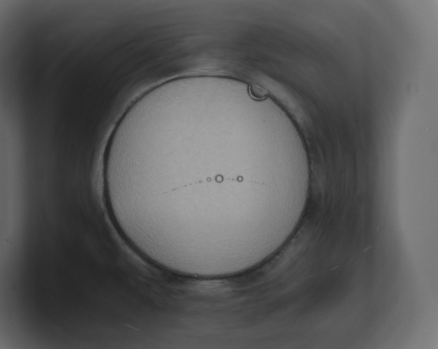 X0000100931479200807151233